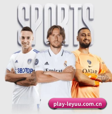 play-leyuu.com.cn的方向